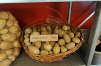 VORRATSKAMMER SPEISEKAMMER - Photo HKW Joachin Loch